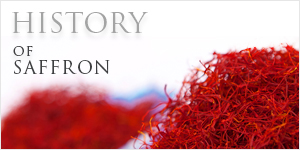 History of Saffron - Vanda Rossen
